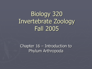 Biology 320 Invertebrate Zoology Fall 2005