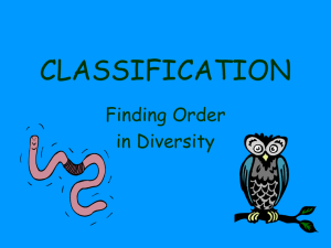 classification - learningcanbefun