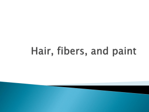 Hair, fibers, and paint - windsor