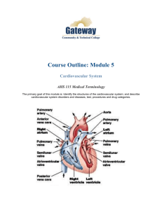 Cardiovascular System