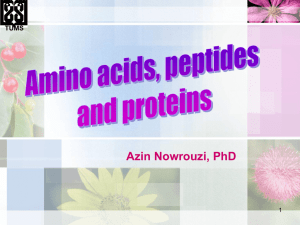 Separation and analysis of amino acids