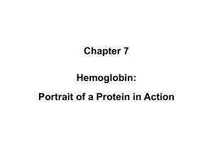 Hemoglobin Cooperativity (2)