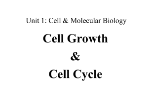 Cell Cycle2013/14