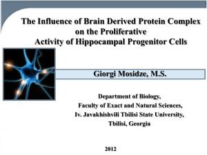 The influence of brain derived protein complex on the proliferative