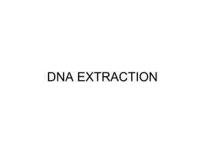 DNA_extraction - STEM Pre