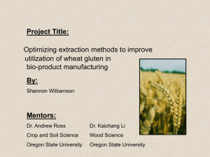 Optimizing extraction methods to improve utilization of wheat gluten