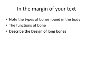Osteology The study of Bone