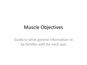 Muscle Objectives