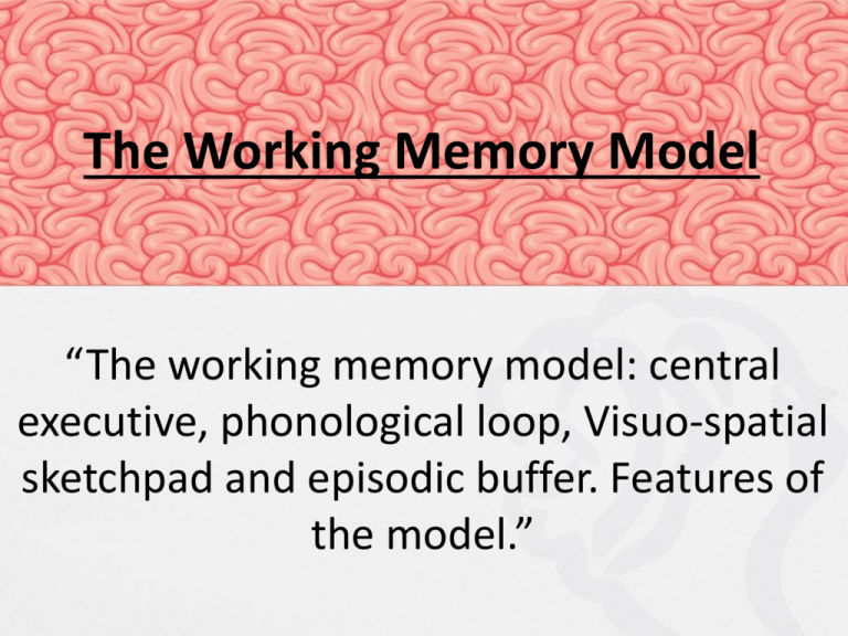 Lesson 3 Working Memory Model 