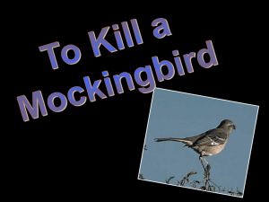 Wrote To Kill a Mockingbird in 1960 Based the story on her life