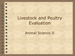 Livestock and Poultry Evaluation