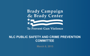 Brady Campaign Presentation