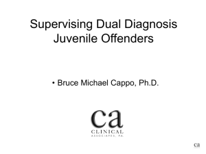 Supervising Dual Diagnosis Juveniles