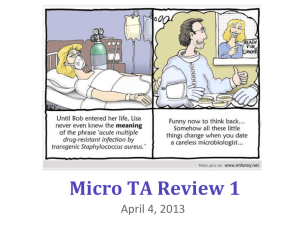 1 Micro TA Review