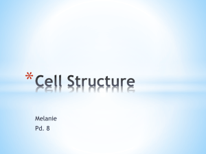 Cell Structure