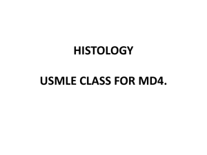 HISTOLOGY USMLE CLASS FOR MD4.