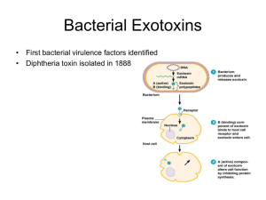 Bacterial Exotoxins