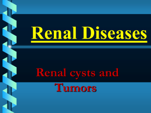 RENAL DISEASES