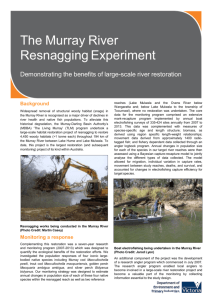 Murray River resnagging experiment fact sheet (accessible version)