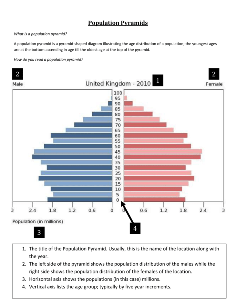 Uses Of Population Pyramids