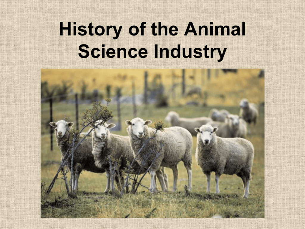 History of Animal Agriculture