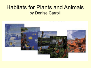 Habitats for Plants and Animals