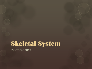 Skeletal System - Uplift Education