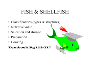 fish & shellfish - Food and Nutrition @ JVS