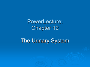 PowerLecture: Chapter 12 - Teaching Learning Center