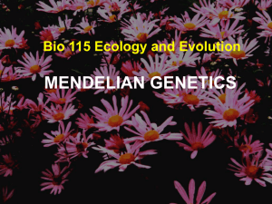 Bio160Lecture22(MendelianGenetics)