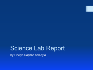 Science Lab Report-Fidelya and Daphne