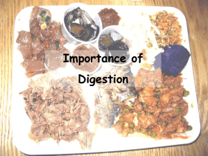 Importance of Digestion
