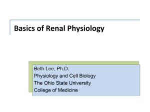 Basic renal physiology - Ohio State University