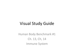 Visual Study Guide: Ch 13