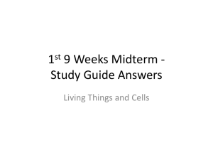 1st 9 Weeks Midterm Study Guide Answers