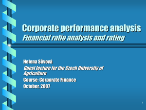 Corporate performance - lecture 12102007
