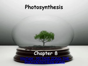 unit 7 photosynthesis ppt