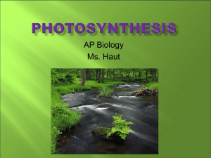 Photosynthesis-2009