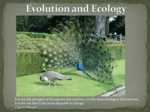 Evolution and Ecology Slideshow