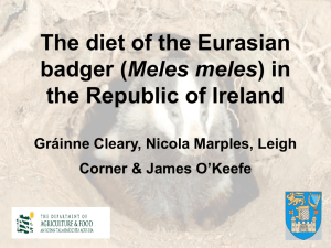 The diet of the Eurasian badger (Meles meles) in the Republic of