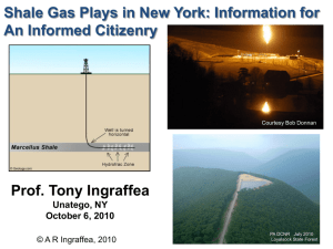 Shale Gas Plays in New York (Professor