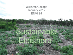 Eleuthera's Food System: From Farm to Market