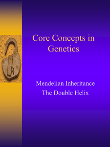 Core Concepts in Genetics: Mendelian Genetics