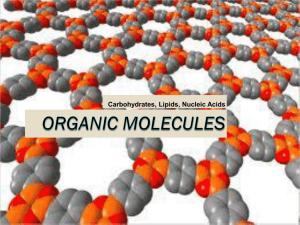 Organic molecules