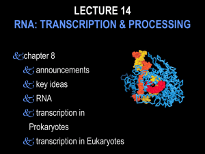 GENETICS – BIO 300