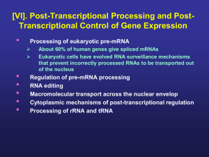 Post-Transcriptional Gene Control