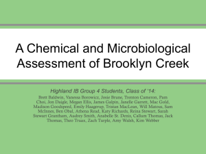 A Chemical and Microbiological Assessment of Brooklyn Creek