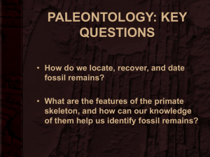 KEY QUESTIONS How do we locate, recover, and date fossil remains?