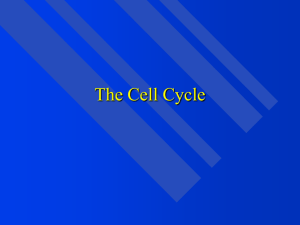 Cellular Basis of Reproduction