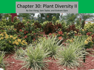 Chapter 30: Plant Diversity II